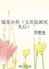 镜花小传/反派死光后