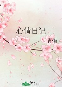 心情泄记