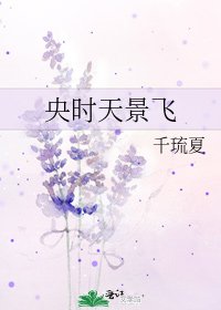 央时天景飞