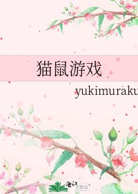猫鼠游戏