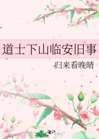 道士下山临安旧事