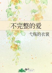不完整的爱
