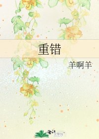 重错