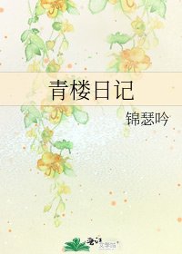 《青楼日记》