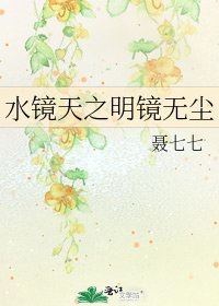 去镜天之明镜无尘