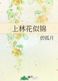 上林花似锦