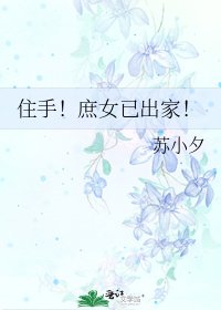 住手!庶女已出家!