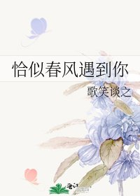 恰似春风遇到你