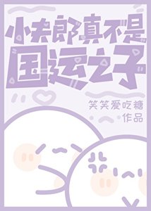 小夫郎真不是国运之子